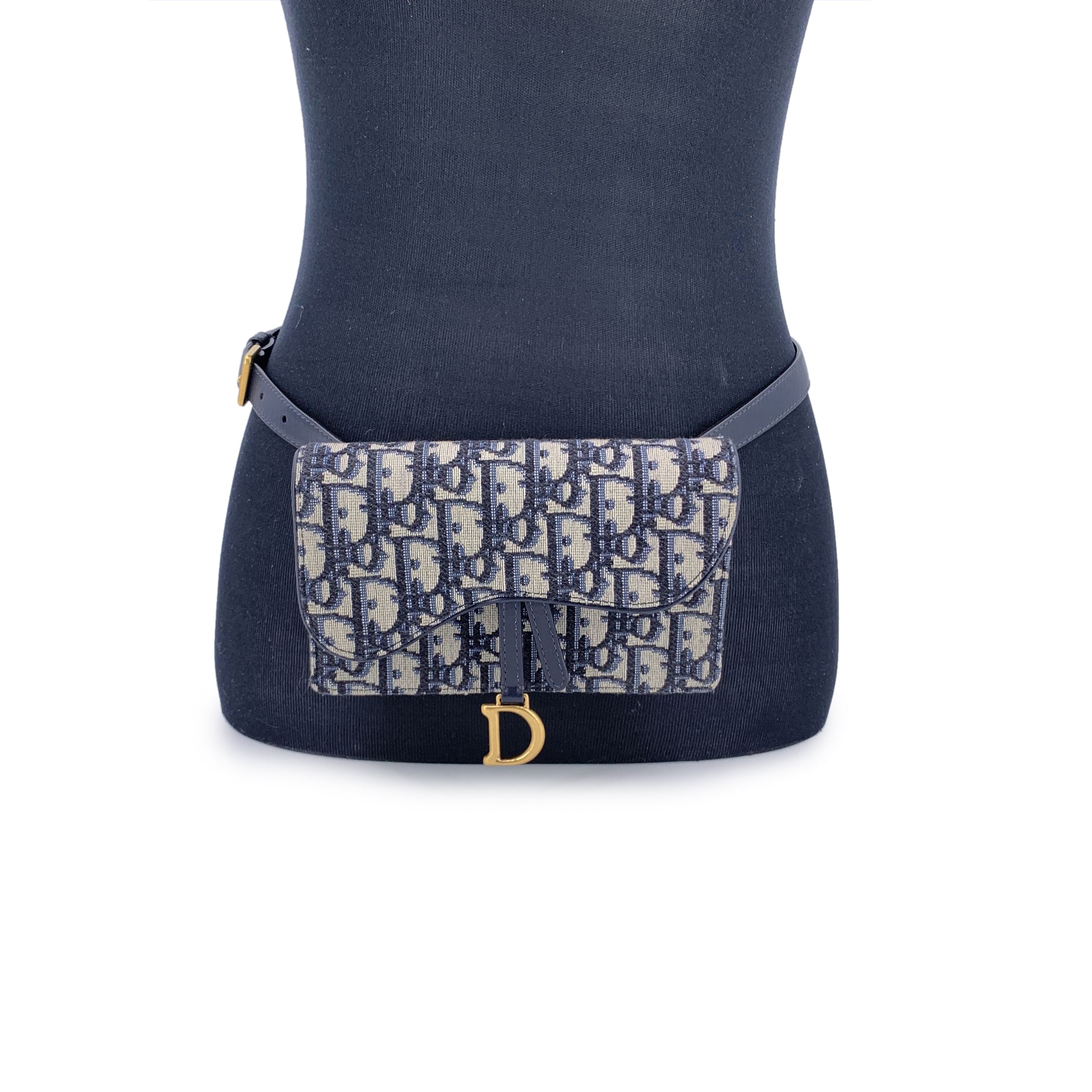 DIOR Crossbody Bags Saddle